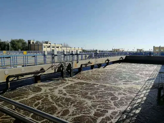 9 Zoll 12 Zoll Belüftungsdiffusor EPDM Membranscheibe Luftblasengenerator Blasendiffusor